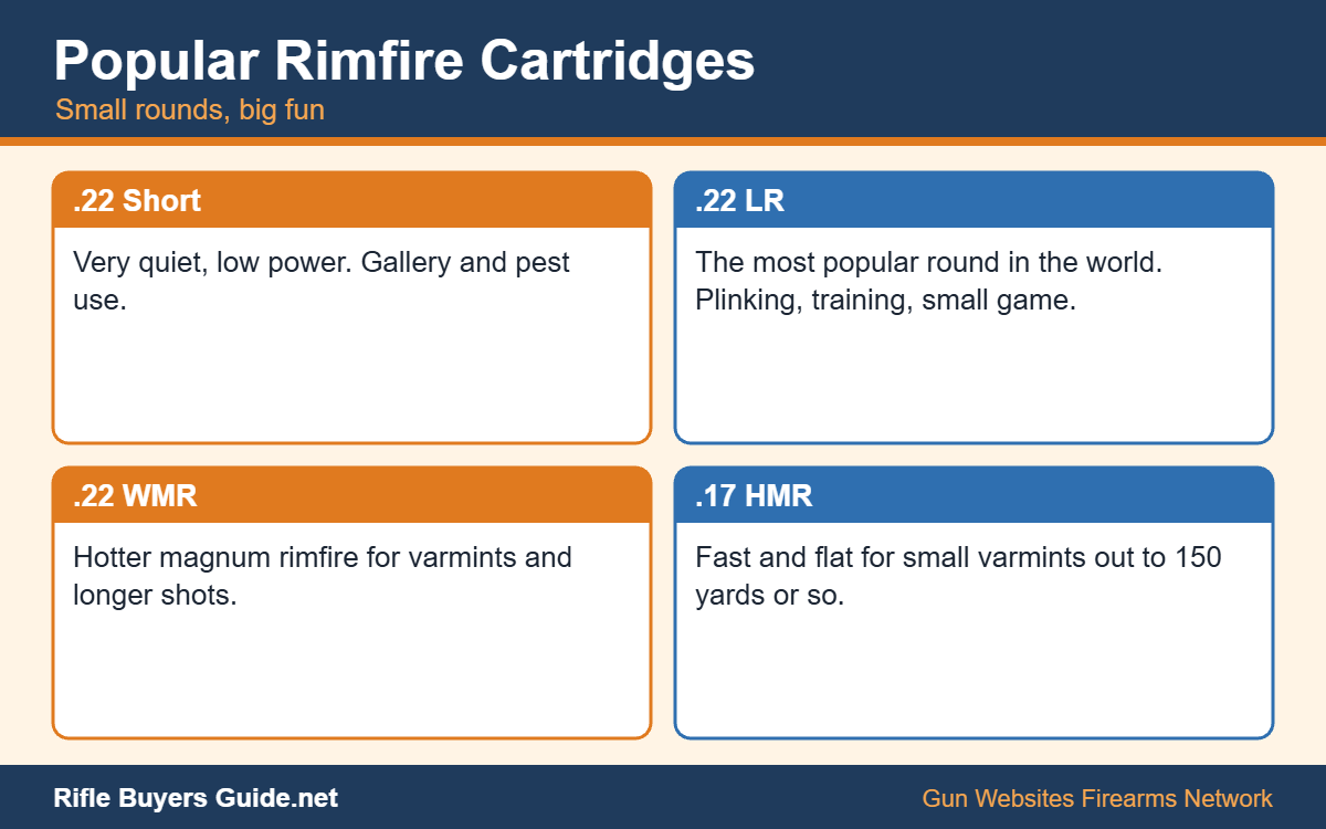 Popular rimfire cartridges and their uses