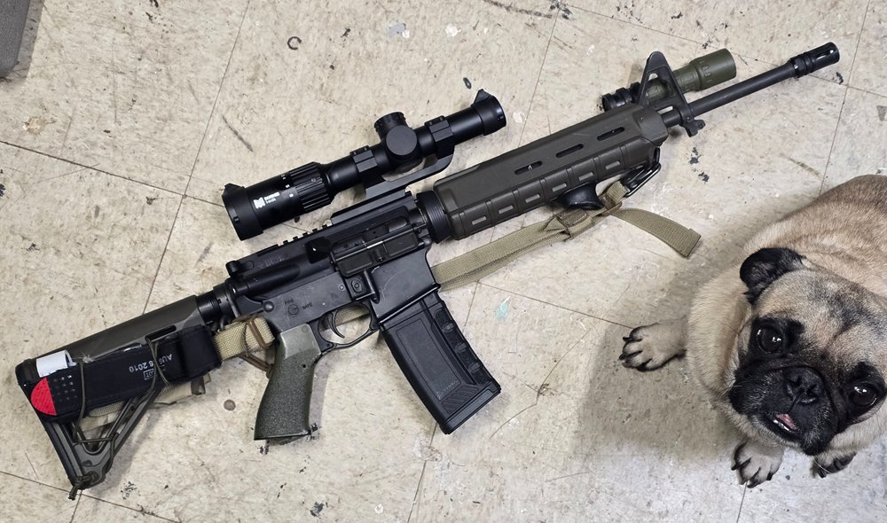 Scoped AR-style rifle on the bench